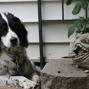 Paula Meade's photo