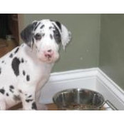 Joanna Roth's photo