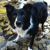 Foto von April Hatcher