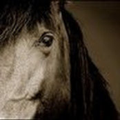 D'Arcy Dewey's photo