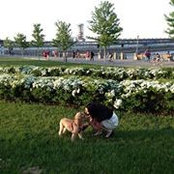 Fannie Bombardier's photo