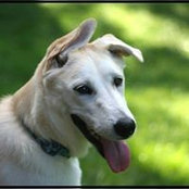 Karla Parker's photo