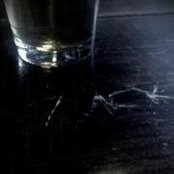 Zack Stewart's photo
