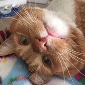 Marilou Flores's photo