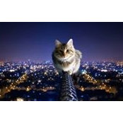 Kristine Hyde's photo