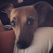 Dan Fierst's photo