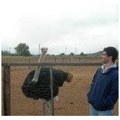 Mike Rondon's photo