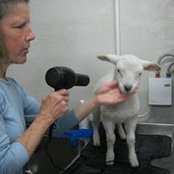 Chris McIntyre's photo
