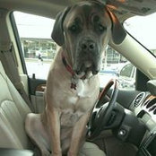 Kim Emerick's photo