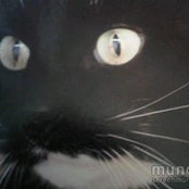 Adriana Dodd's photo
