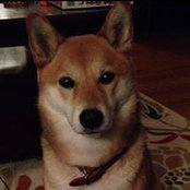 Jody Grinberg's photo