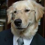 Foto de Flopsy Dog