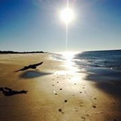 Lecia Brooks's photo
