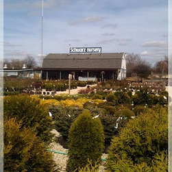 Nursery and Garden Center - Gardening And Lawn Care