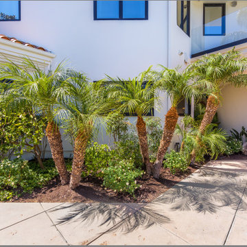 Beverly Hills Modern
