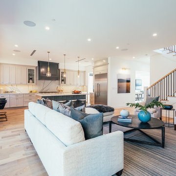 Modern Cape Cod - New Construction - West Hollywood