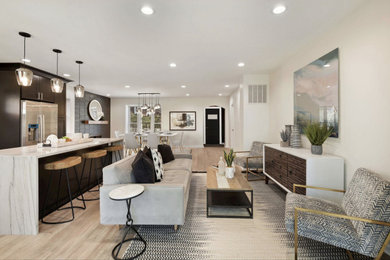 Shephard's Park, Washington DC Full Home Renovation