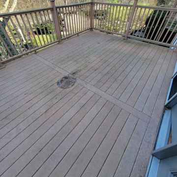 Shaw Project
