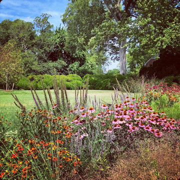 Great Lawn Border - detail