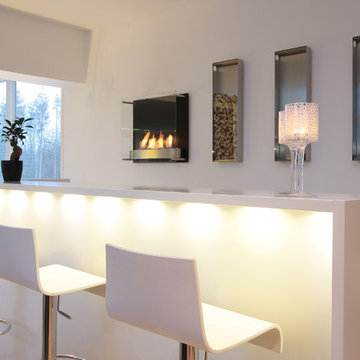 Free Standing and Wall - Hung Fires