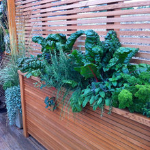 Roof Deck Garden