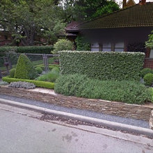 McKinney 4-plex
