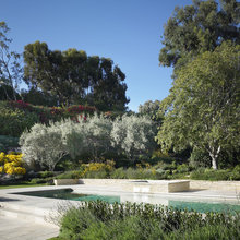 Back Of Pool