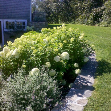 My Landscaping Work