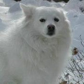 Kathy Farmer's photo