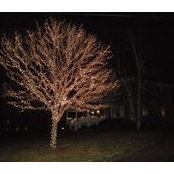 Susan Parrish's photo