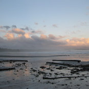Kelly's photo
