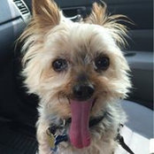 Sam Leung's photo
