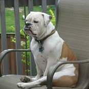 Larry Thackery's photo
