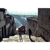 Foto de Sara Guerrilha
