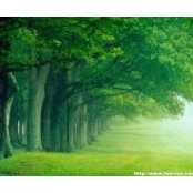 Truong Dao's photo