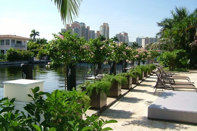 Design ideas for a mid-sized transitional full sun backyard stone landscaping in Miami for summer.