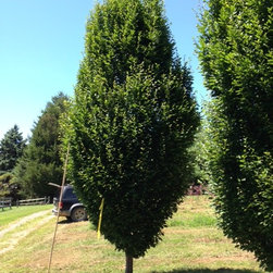 Farms - Gardening And Lawn Care