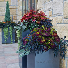 front planters