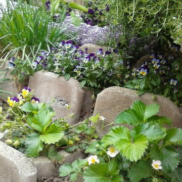 Winter Vegetable Garden