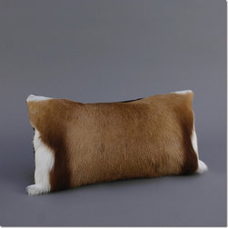 Springbok Pillow - Decorative Pillows