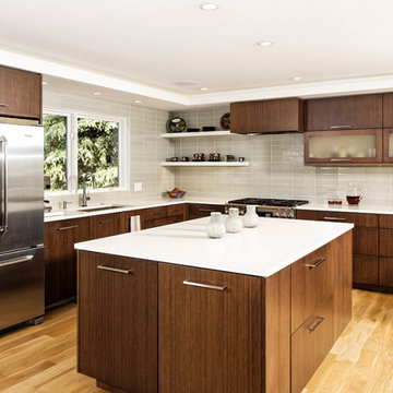 Basalt Contemporary - Remodel