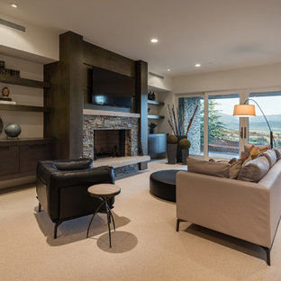 ソルトレイクシティの中サイズのコンテンポラリースタイルのおしゃれな地下室 (半地下 (ドアあり)、白い壁、カーペット敷き、標準型暖炉、石材の暖炉まわり、ベージュの床) の写真