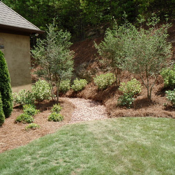 Foundational Planting
