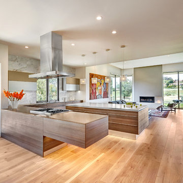 El Dorado Hills Modern Art Home