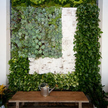 plant wall