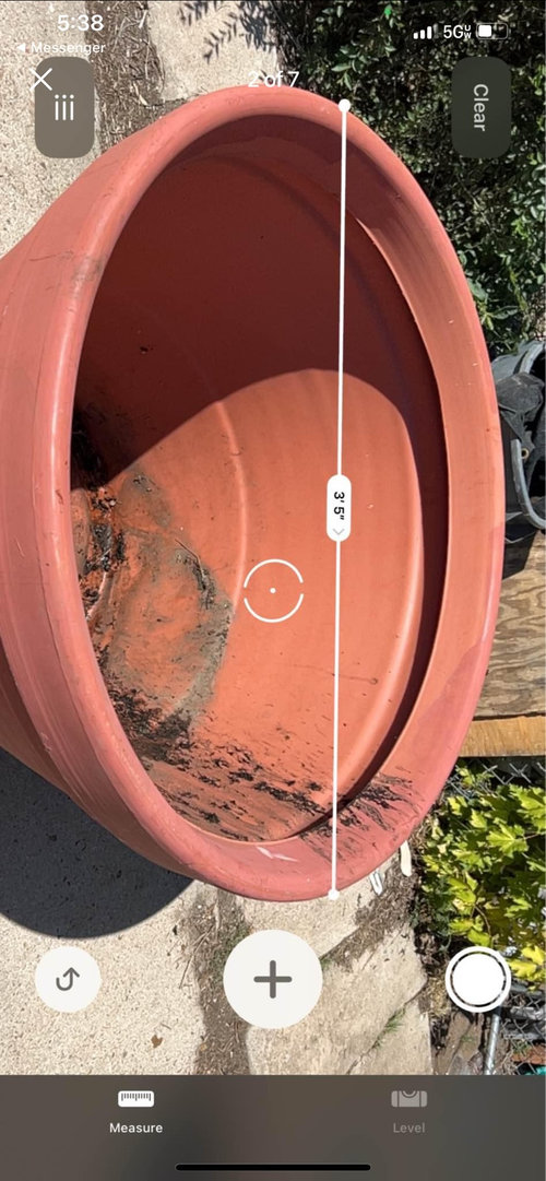 What can I plant in this large container in Zone 5a?