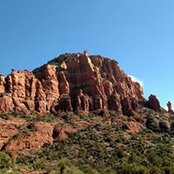Susan Snyder's photo