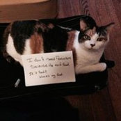 Sandra Lec's photo