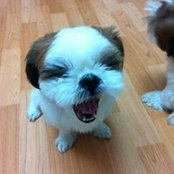Hyemin Maeng's photo