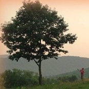 Catskill Weathers billede